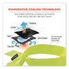 ergodyne® Chill-Its 6700 Cooling Bandana Polymer Tie Headband, One Size Fits Most, Lime Bandanas - Office Ready
