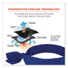 ergodyne® Chill-Its 6700 Cooling Bandana Polymer Tie Headband, One Size Fits Most, Solid Blue Bandanas - Office Ready