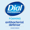 Dial® Antibacterial Foaming Hand Wash, Spring Water Scent, 1 gal Bottle, 4/Carton Foam Soap Refills - Office Ready