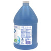Dial® Antibacterial Foaming Hand Wash, Spring Water Scent, 1 gal Bottle, 4/Carton Foam Soap Refills - Office Ready