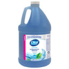 Dial® Antibacterial Foaming Hand Wash, Spring Water Scent, 1 gal Bottle, 4/Carton Foam Soap Refills - Office Ready