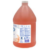 Dial® Professional Antibacterial Foaming Hand Wash, Plus Aloe, Original, 1 gal, 4/Carton Foam Soap Refills - Office Ready