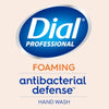 Dial® Professional Antibacterial Foaming Hand Wash, Plus Aloe, Original, 1 gal, 4/Carton Foam Soap Refills - Office Ready