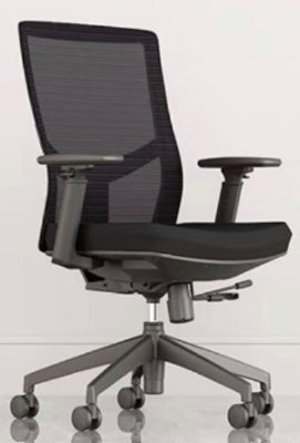 ZEE Task Chair, Mesh, Ratchet Back, Syncro Tilt, Seat Slider, Fabric Seat - Office Ready