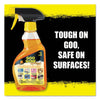 Goo Gone?« Spray Gel Cleaner, Citrus Scent, 12 oz Spray Bottle Gum/Wax Removers - Office Ready