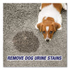 RESOLVE® Urine Destroyer, Citrus, 32 oz Spray Bottle Cleaners & Detergents-Carpet/Upholstery Spot/Stain Remover - Office Ready