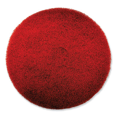SC Johnson Professional® EZ CARE Heavy Duty Scrub Pad, 16