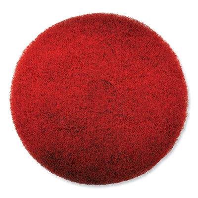 SC Johnson Professional® EZ CARE Heavy Duty Scrub Pad, 20