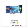3M™ E·A·R™ Push-Ins™ Single-Use Earplugs, Corded, 28 dB NRR, Blue/Yellow, 200 Pairs Banded Ear Plugs - Office Ready