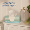 Puffs® Plus Lotion™ Facial Tissue, 2-Ply, White, 124 Sheets/Box, 24 Boxes/Carton Facial Tissues - Office Ready