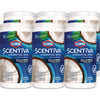Clorox® Scentiva Bleach Free Cleaning Wipes, 1-Ply, 7.75 x 7, Pacific Breeze/Coconut, White, 75/Canister, 6 Canisters/Carton Cleaner/Detergent Wet Wipes - Office Ready