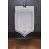 Fresh Products Urinal Deodorizer Block, Cherry Scent, 3 oz, Red, 12/Box, 12 Boxes/Carton Urinal Blocks - Office Ready