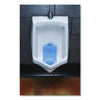 Boardwalk® Vertical Urinal Screen, Cotton Blossom Scent, Blue, 5.22 oz, 6/Carton Urinal Screens/Blocks - Office Ready