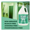 Simple Green® Lime Calcium Surface Residue Remover, 1 gal Bottle, 6/Carton Descalers/Cleaners - Office Ready