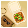 Dart® Microwaveable Hinged Containers, ProPlanet, 9 x 8.75 x 3, Clear, Plastic 150/Carton Takeout Food Containers - Office Ready