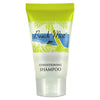 Beach Mist™ Shampoo, Fresh Scent, 0.65 oz, 288/Carton Travel/Amenity Shampoo/Conditioner - Office Ready