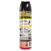 Raid® Ant & Roach Killer, 17.5 oz Aerosol Spray, Outdoor Fresh Insect Killer Aerosol Sprays - Office Ready