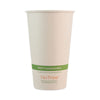 World Centric® NoTree Paper Hot Cups, 16 oz, Natural, 1,000/Carton Hot Drink Cups - Office Ready