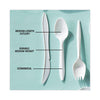 Pactiv Evergreen Fieldware Cutlery, Mediumweight Spoon, Plastic, White, 1,000/Carton Disposable Teaspoons - Office Ready