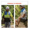 ergodyne® Chill-Its 6602 Evaporative PVA Cooling Towel, 29.5 x 13, One Size Fits Most, PVA, Blue, 50/Pack Cooling Towels - Office Ready