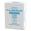 Dart® Lids for Foam Cups and Containers, Fits 12 oz Hot Cups, Plastic, Translucent, 1,000/Carton Hot Cup Lids - Office Ready