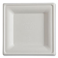 Eco-Products® Vanguard Renewable and Compostable Sugarcane Plates, 6 x 6, White, 500/Carton Plates - Office Ready