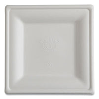 Eco-Products® Vanguard Renewable and Compostable Sugarcane Plates, 10 x 10, White, 250/Carton Plates - Office Ready