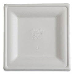 Eco-Products® Vanguard Renewable and Compostable Sugarcane Plates, 10 x 10, White, 250/Carton