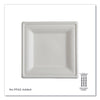 Eco-Products® Vanguard Renewable and Compostable Sugarcane Plates, 10 x 10, White, 250/Carton Plates - Office Ready