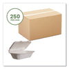 Vegware™ White Molded Fiber Clamshell Containers, Compostable, 9 x 11 x 2, White, Sugarcane, 250/Carton Takeout Food Containers - Office Ready