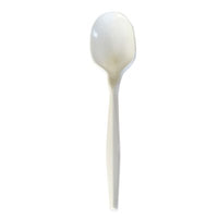 Boardwalk® Mediumweight Polypropylene Cutlery, Soup Spoon, 4.86