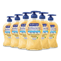 Softsoap® Antibacterial Hand Soap, Citrus, 11.25 oz Pump Bottle, 6/Carton Personal Soaps-Liquid, Antibacterial - Office Ready