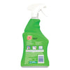 SPRAY 'n WASH® Laundry Stain Remover, 22 oz Spray Bottle Cleaners & Detergents-Laundry Pretreatment - Office Ready