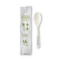 World Centric® TPLA Compostable Cutlery, Spoon, 6