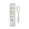World Centric® TPLA Compostable Cutlery, Spoon, 6", White, 750/Carton Disposable Teaspoons - Office Ready