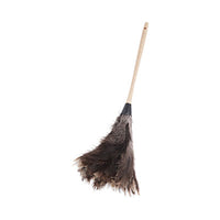 Boardwalk® Professional Ostrich Feather Duster, 13