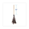 Boardwalk® Professional Ostrich Feather Duster, 16" Handle Dusters-Handheld Wand - Office Ready