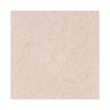 Boardwalk® Natural Hog Hair Burnishing Floor Pads, 20" Diameter, Tan, 5/Carton Burnish/Buff Floor Pads - Office Ready