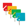 CONTROLTEK® Key Tags, Blue/Green/Red/Yellow, 20/Pack, 3 Packs/Carton Key Chains & Rings - Office Ready