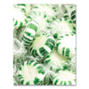 Office Snax® Candy Assortments, Spearmint Candy, 1 lb Bag Food-Candy - Office Ready