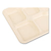 Boardwalk® Bagasse PFAS-Free Food Tray, 5-Compartment, 8.26 x 0.98 x 10.9, Tan, Bamboo/Sugarcane, 500/Carton Food Trays - Office Ready