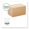 Vegware™ 76-Series Cold Cup, 7 oz, Clear/Green, 1,000/Carton Cold Drink Cups, PLA - Office Ready