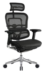 Eurotech Ergo Elite High Back Mesh Chair - Black
