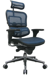 Eurotech Ergohuman High Back Mesh Chair - Blue