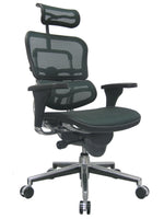 Eurotech Ergohuman High Back Mesh Chair - Green Seating-Ergonomic Chair - Office Ready