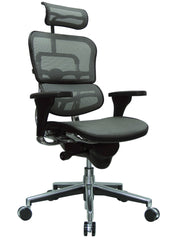 Eurotech Ergohuman High Back Mesh Chair - Grey