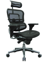 Eurotech Mesh Ergohuman High Back Swivel Chair Black Mesh Chairs/Stools-Office Chair - Office Ready